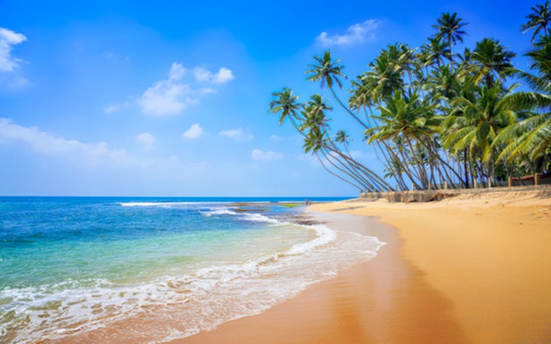 Beach Tour