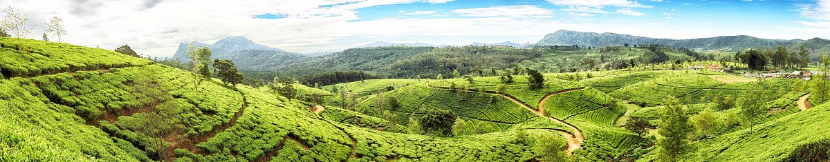 Beautiful View of Sri Lanka